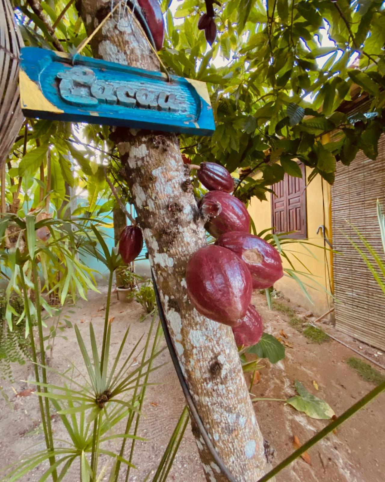 Caraiva Recanto Pousada De Ferias Exteriér fotografie